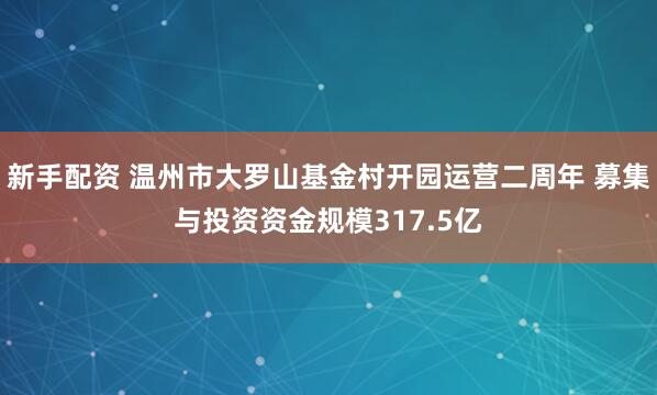 新手配资 温州市大罗山基金村开园运营二周年 募集与投资资金规模317.5亿