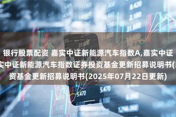 银行股票配资 嘉实中证新能源汽车指数A,嘉实中证新能源汽车指数C: 嘉实中证新能源汽车指数证券投资基金更新招募说明书(2025年07月22日更新)