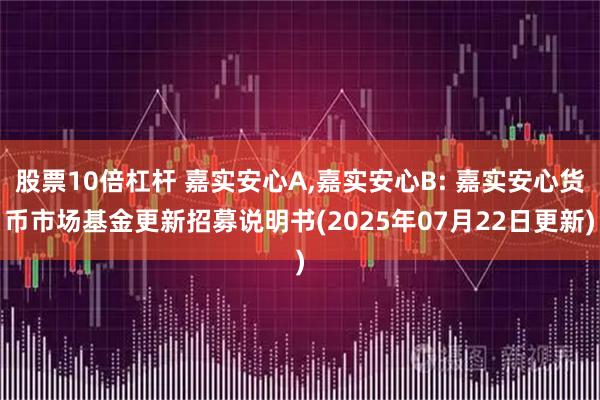 股票10倍杠杆 嘉实安心A,嘉实安心B: 嘉实安心货币市场基金更新招募说明书(2025年07月22日更新)